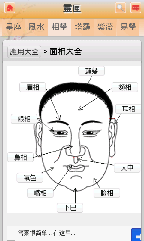 全能占卜大师